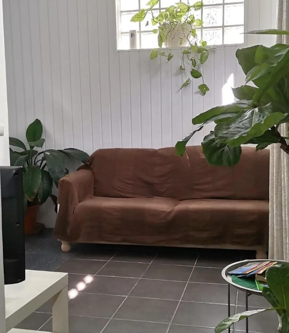מלון Tiny House Funchal בית הארחה
